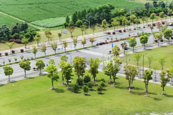 road-with-trees-around